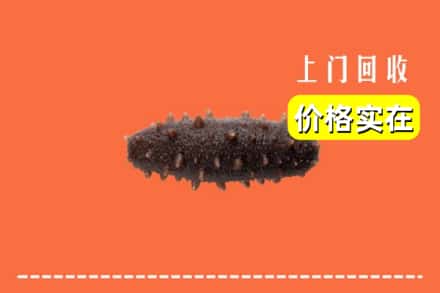 商丘市柘城回收海参