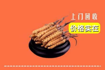 商丘市柘城回收冬虫夏草